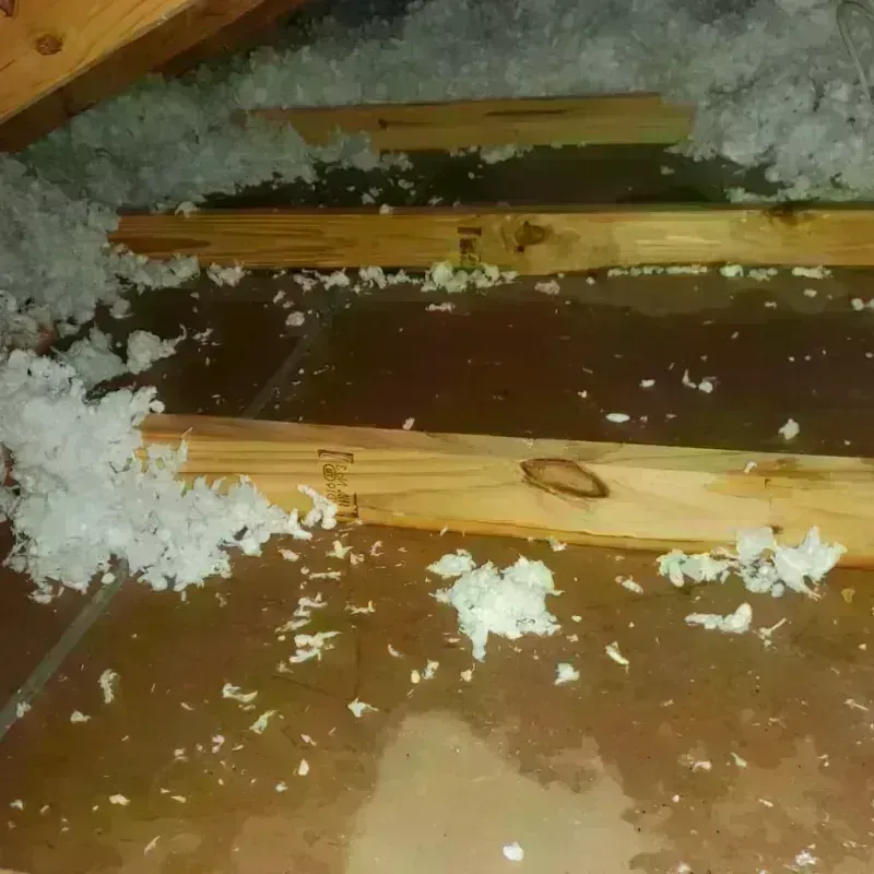 Attic Water Damage in Shannondale, WV